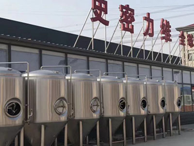姑苏精酿啤酒设备厂—如何判断精酿啤酒设备的密封件需要更换？